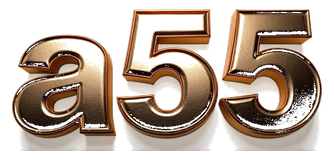 a55 logo
